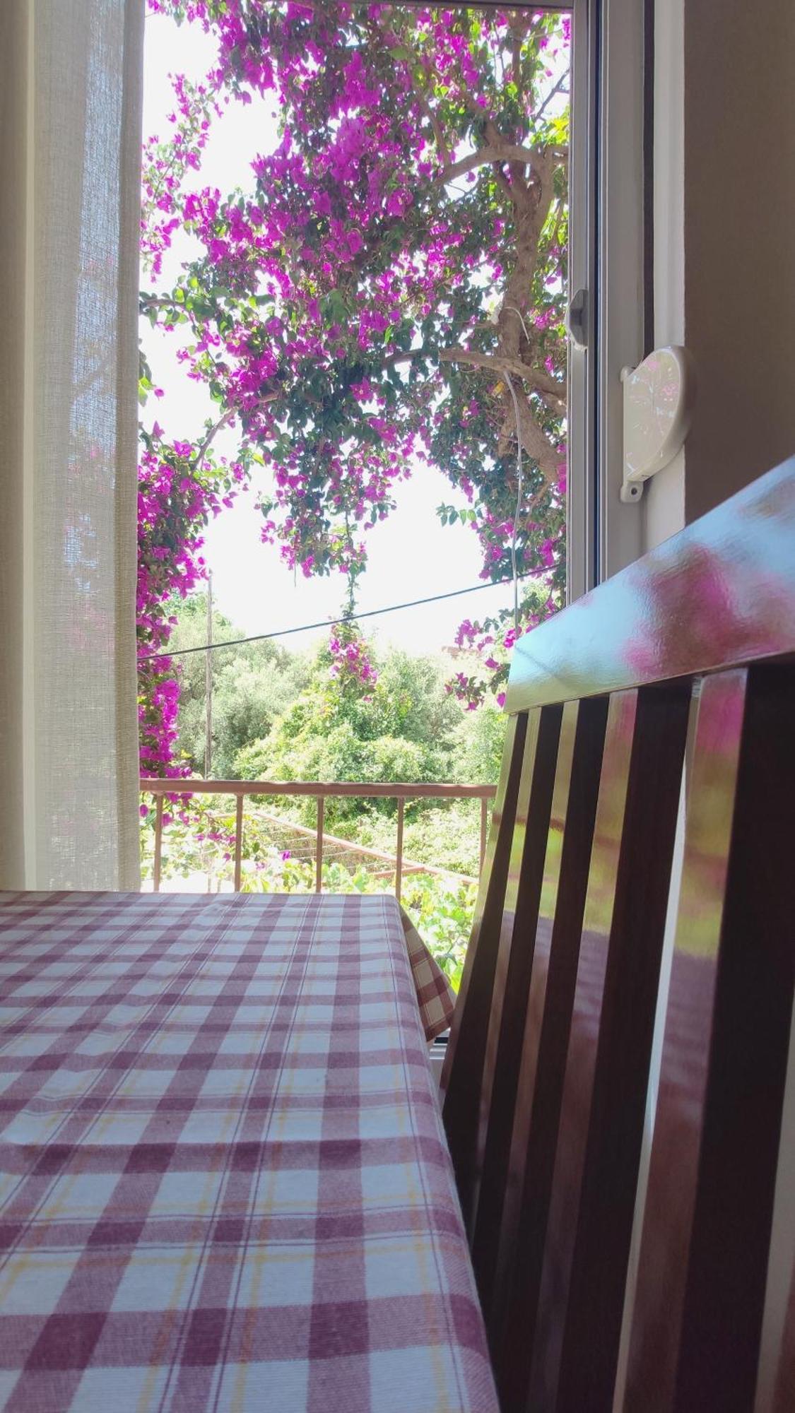 Apartments Ruza Budva Oda fotoğraf